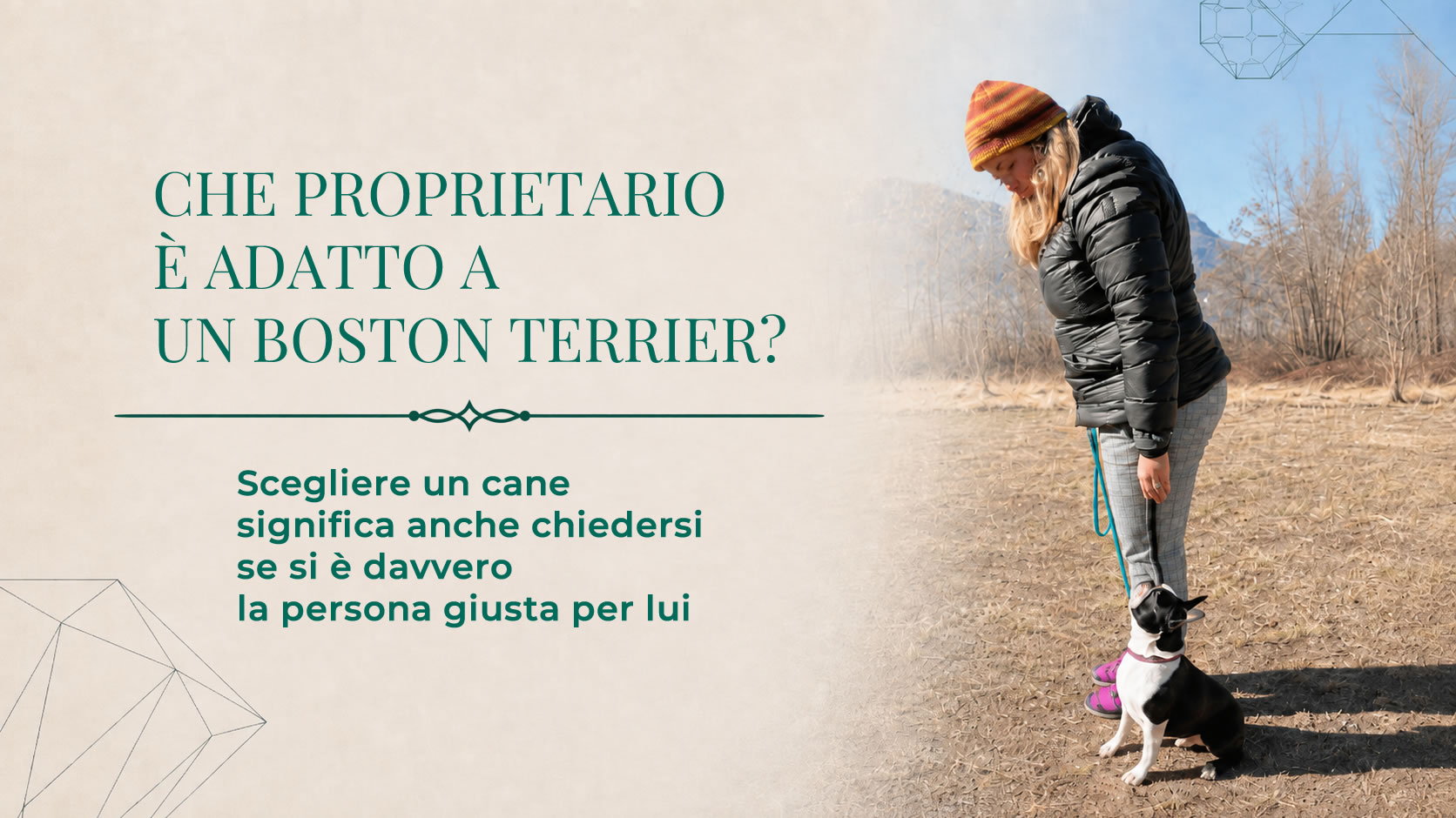 Che proprietario è adatto a un Boston Terrier?
